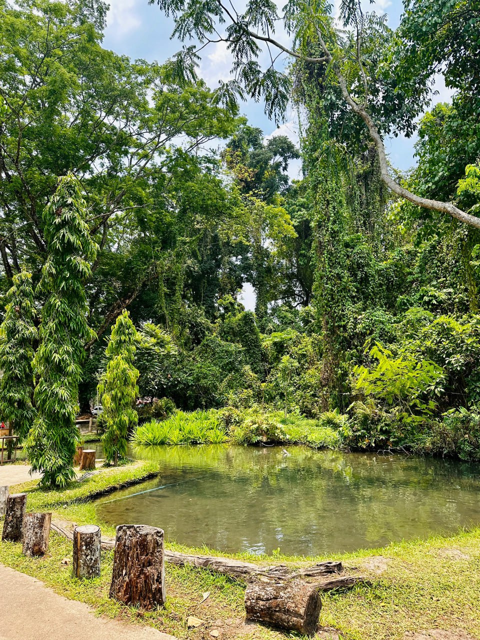 IMAGE 2026-02-10 16:31:19.jpg