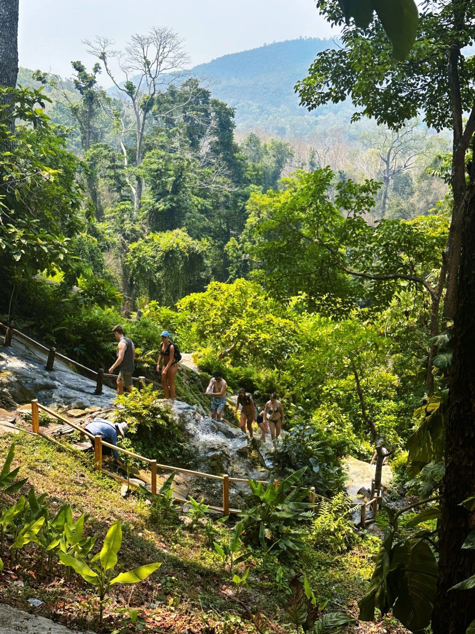 IMAGE 2026-02-10 16:31:25.jpg