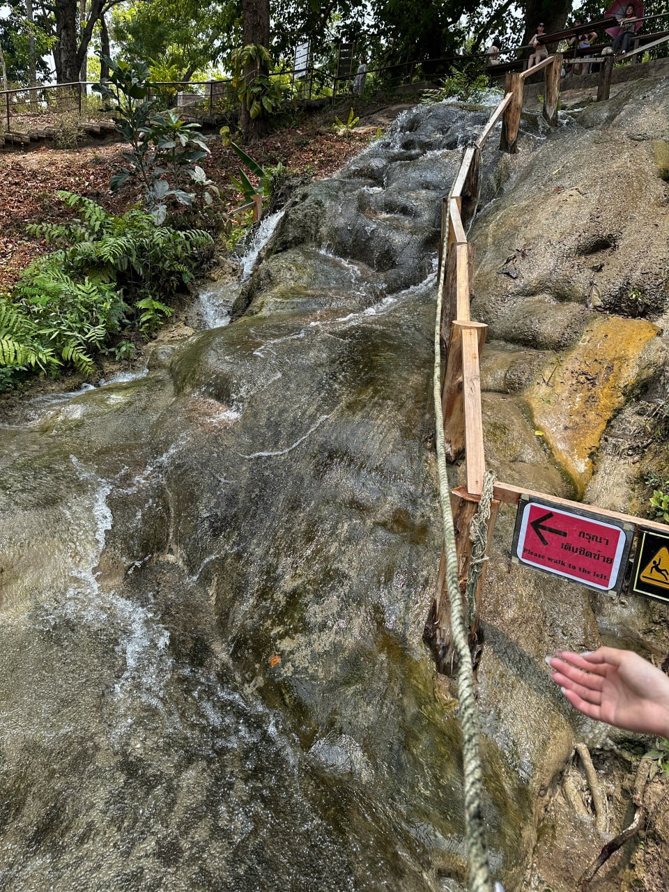 IMAGE 2026-02-10 16:31:29.jpg