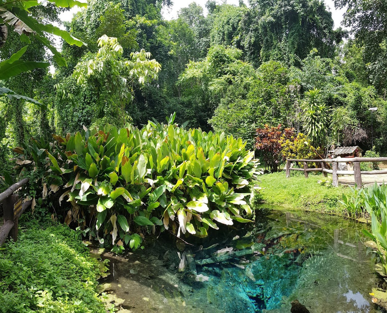 IMAGE 2026-02-10 16:31:31.jpg