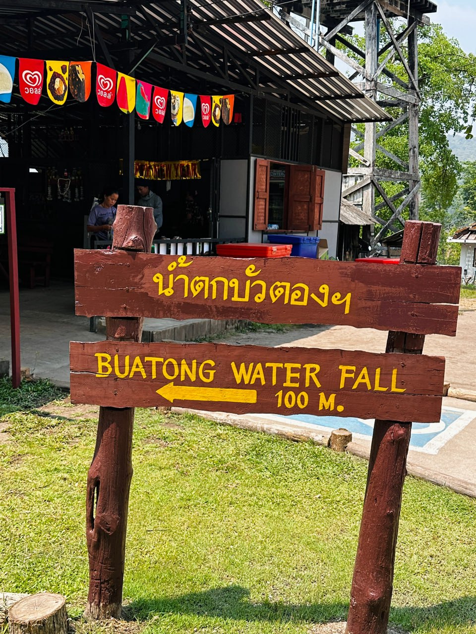 IMAGE 2026-02-10 16:31:34.jpg