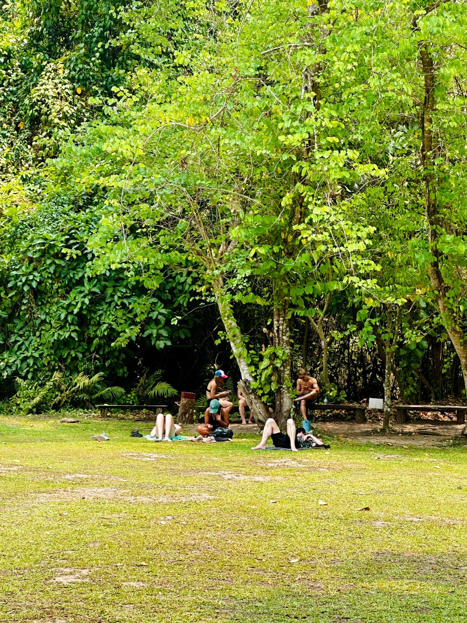 IMAGE 2026-02-10 16:31:35.jpg