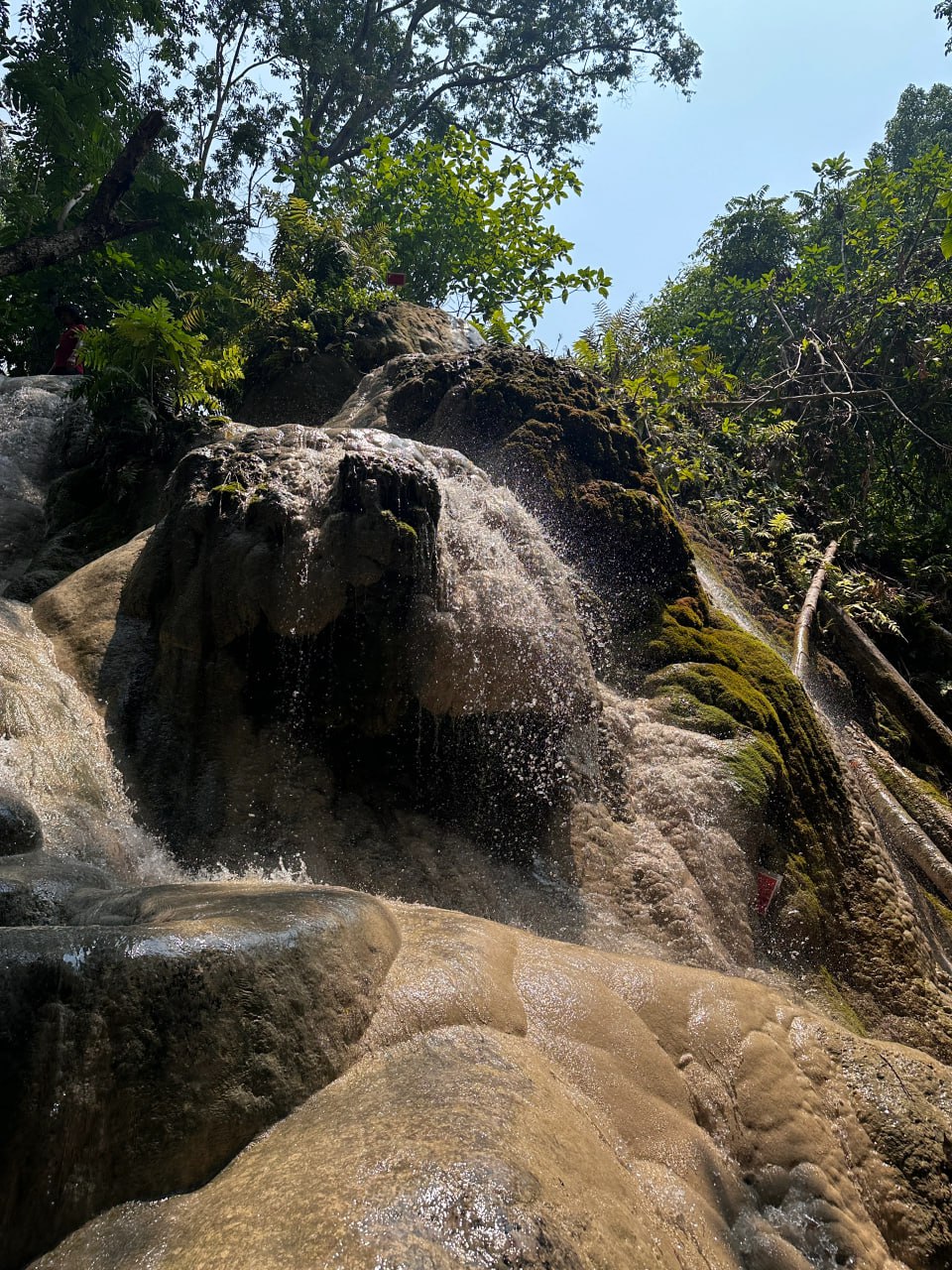 IMAGE 2026-02-10 16:31:37.jpg