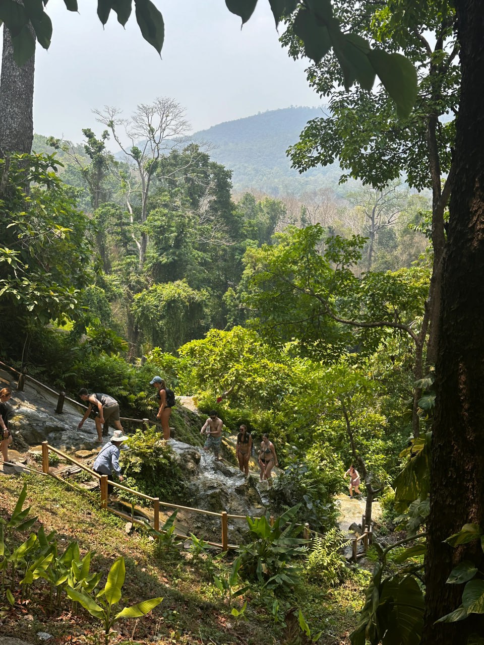 IMAGE 2026-02-10 16:31:39.jpg