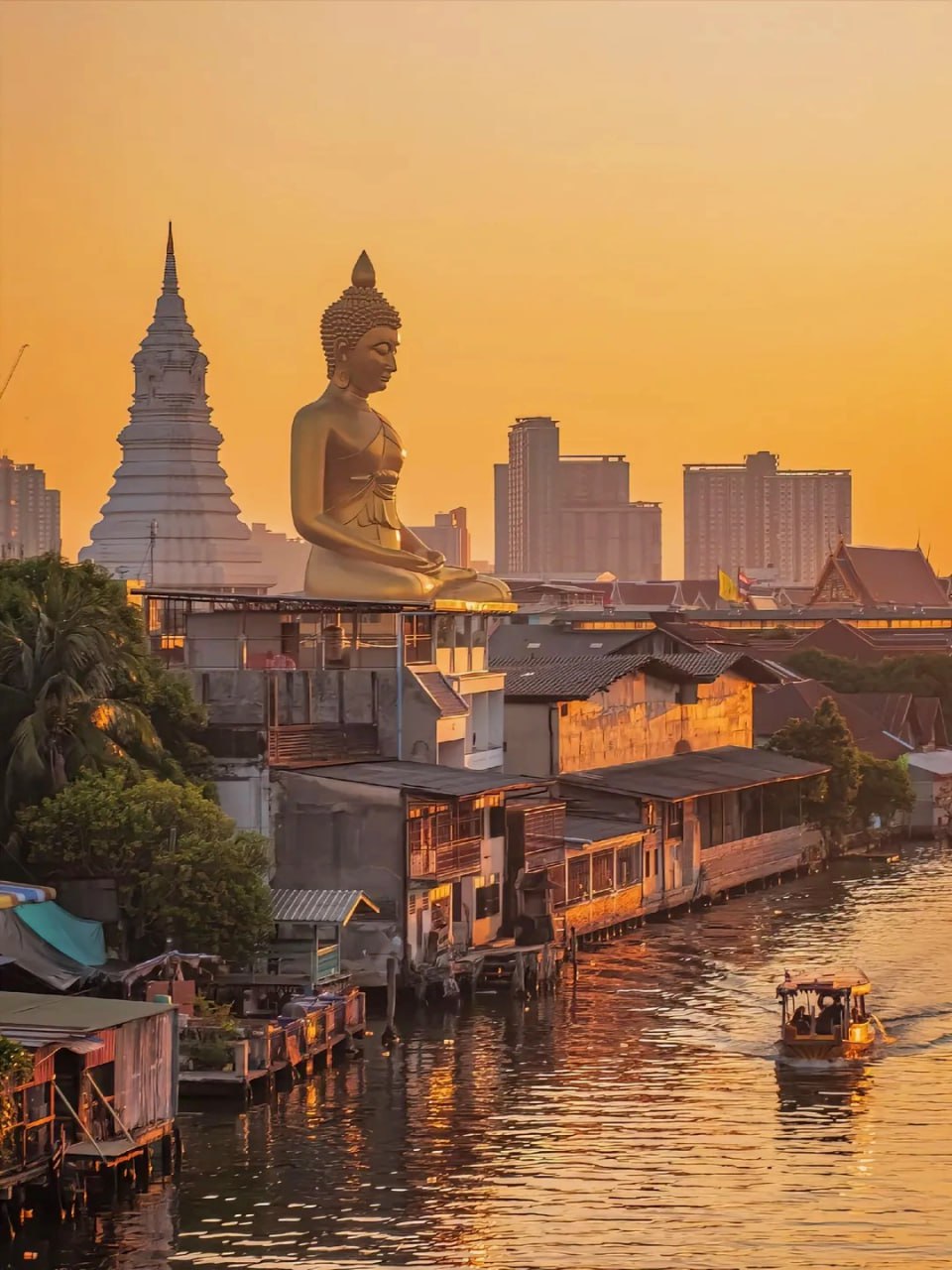 IMAGE 2026-02-10 16:49:01.jpg