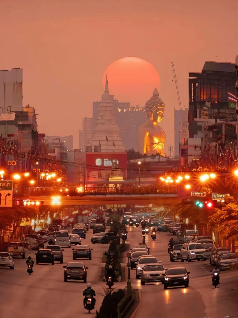 IMAGE 2026-02-10 16:49:02.jpg