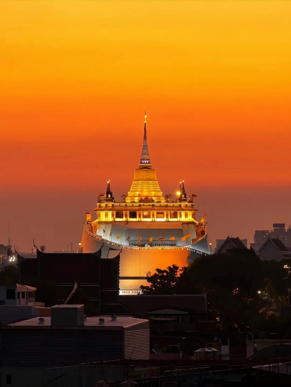 IMAGE 2026-02-10 16:49:04.jpg