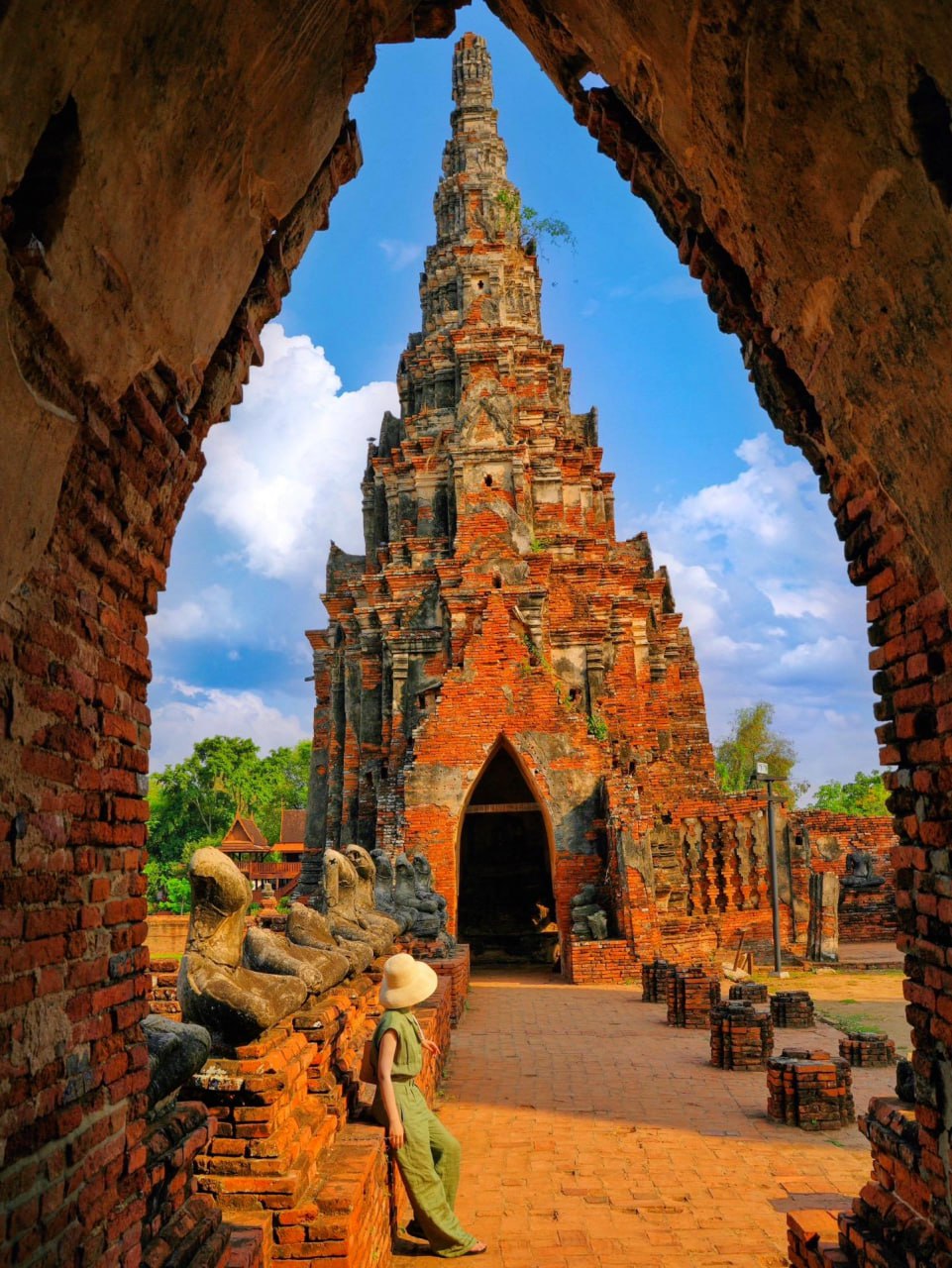 IMAGE 2026-02-10 16:49:09.jpg