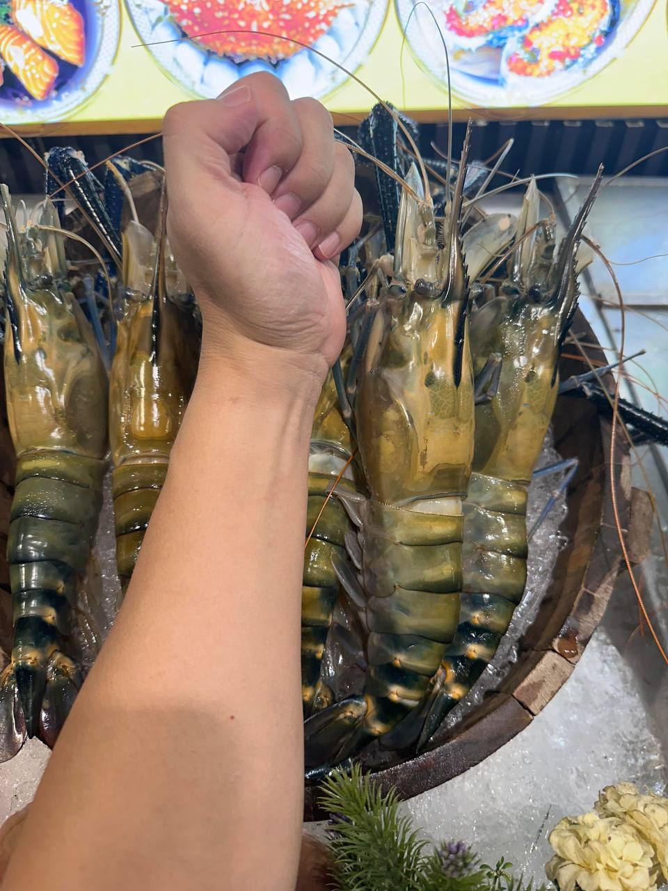 IMAGE 2026-02-10 17:23:16.jpg