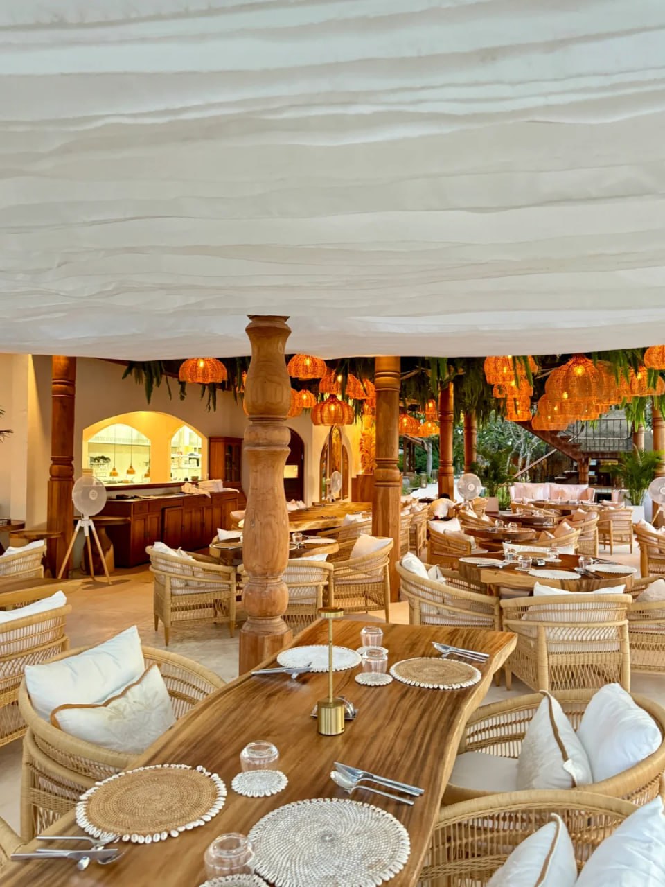 IMAGE 2026-02-10 19:24:23.jpg