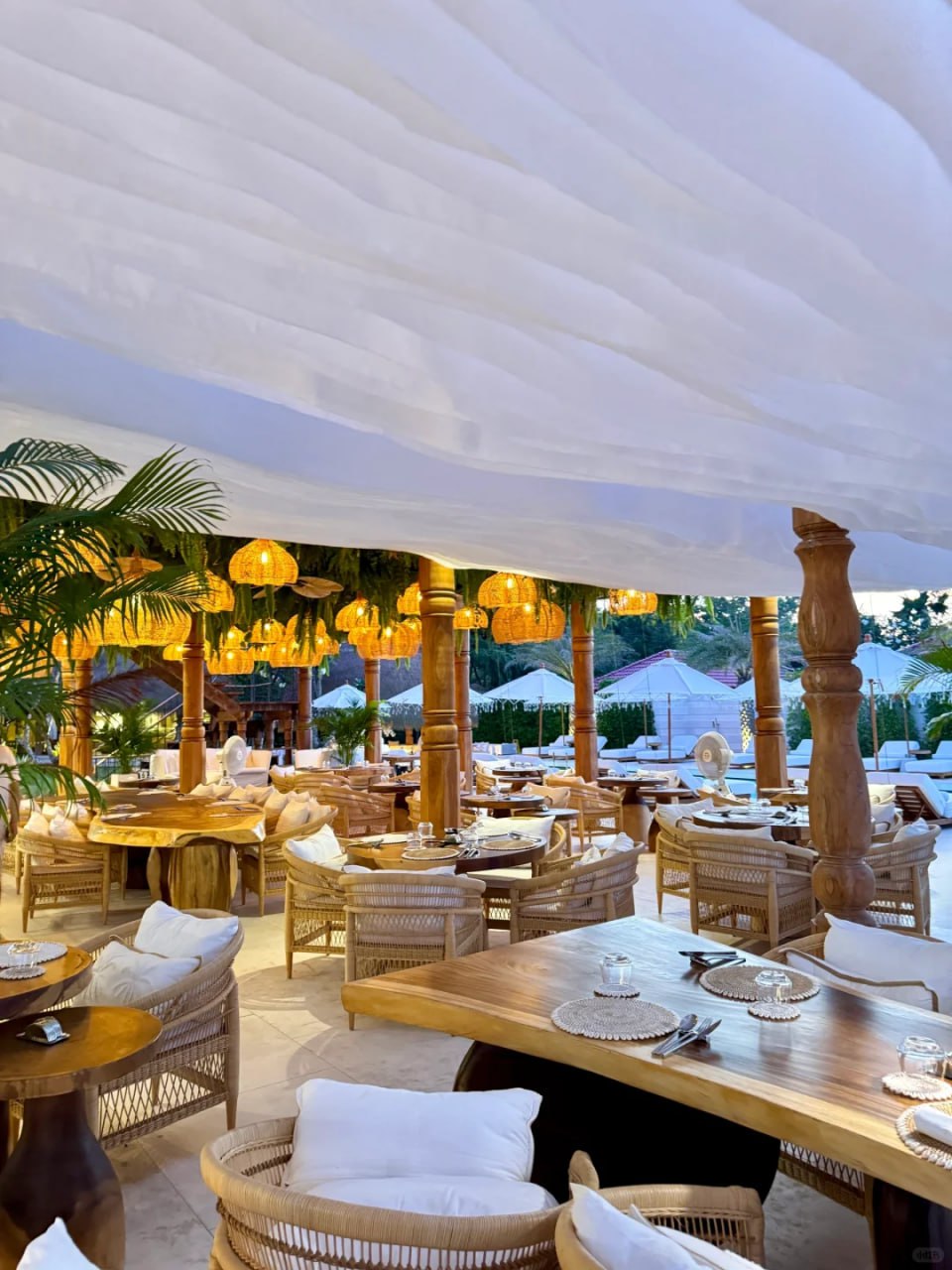 IMAGE 2026-02-10 19:24:25.jpg