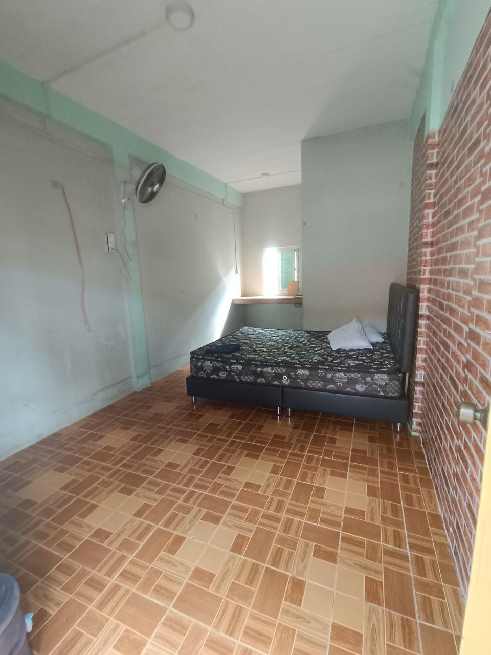 IMAGE 2026-02-10 19:48:15.jpg