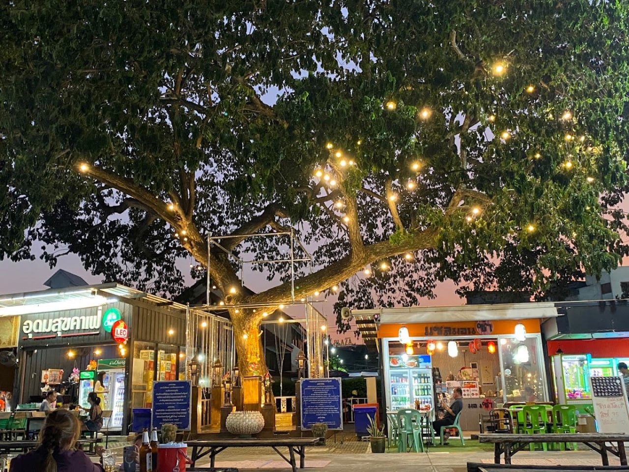 IMAGE 2026-02-11 20:43:27.jpg