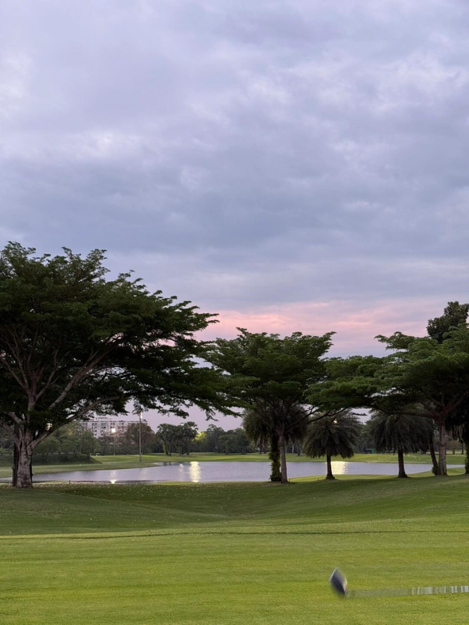 IMAGE 2026-02-11 20:49:07.jpg