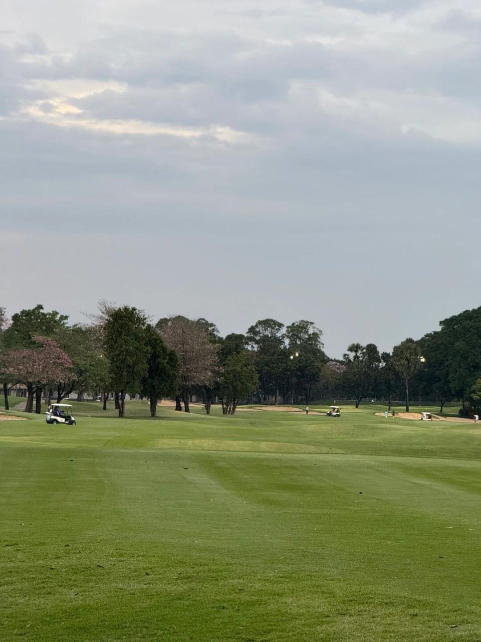 IMAGE 2026-02-11 20:49:10.jpg