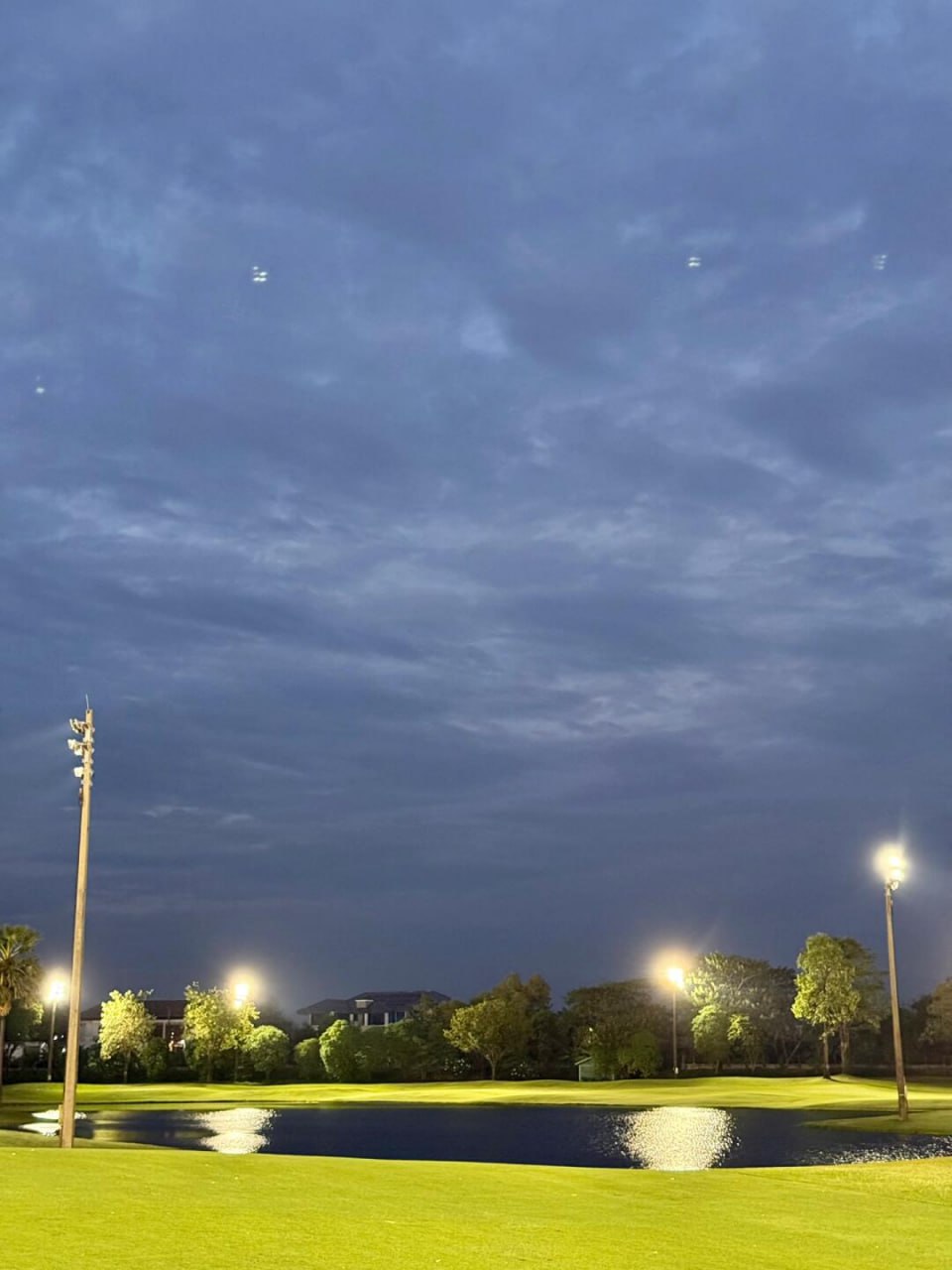 IMAGE 2026-02-11 20:49:12.jpg