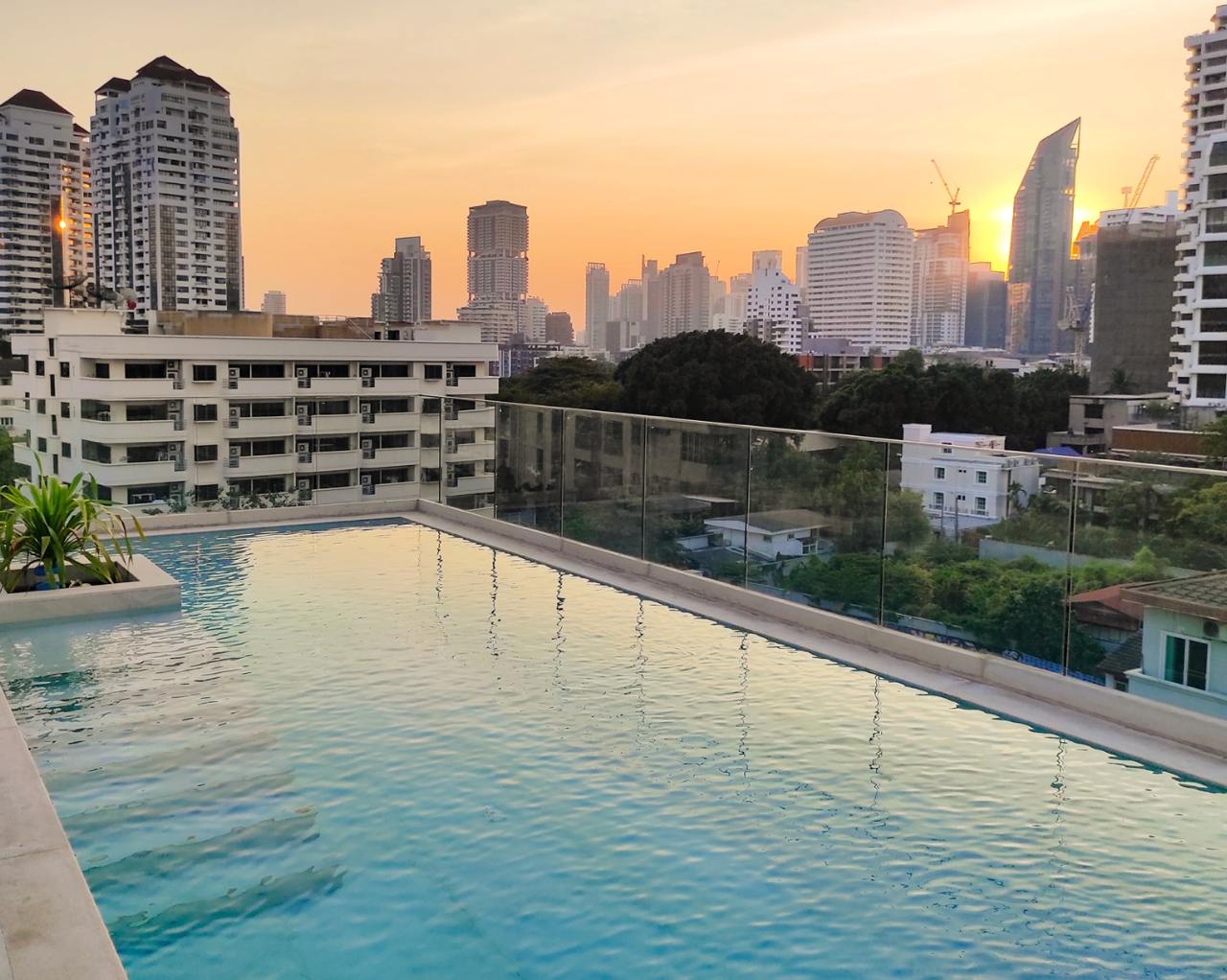 IMAGE 2026-02-14 20:47:02.jpg