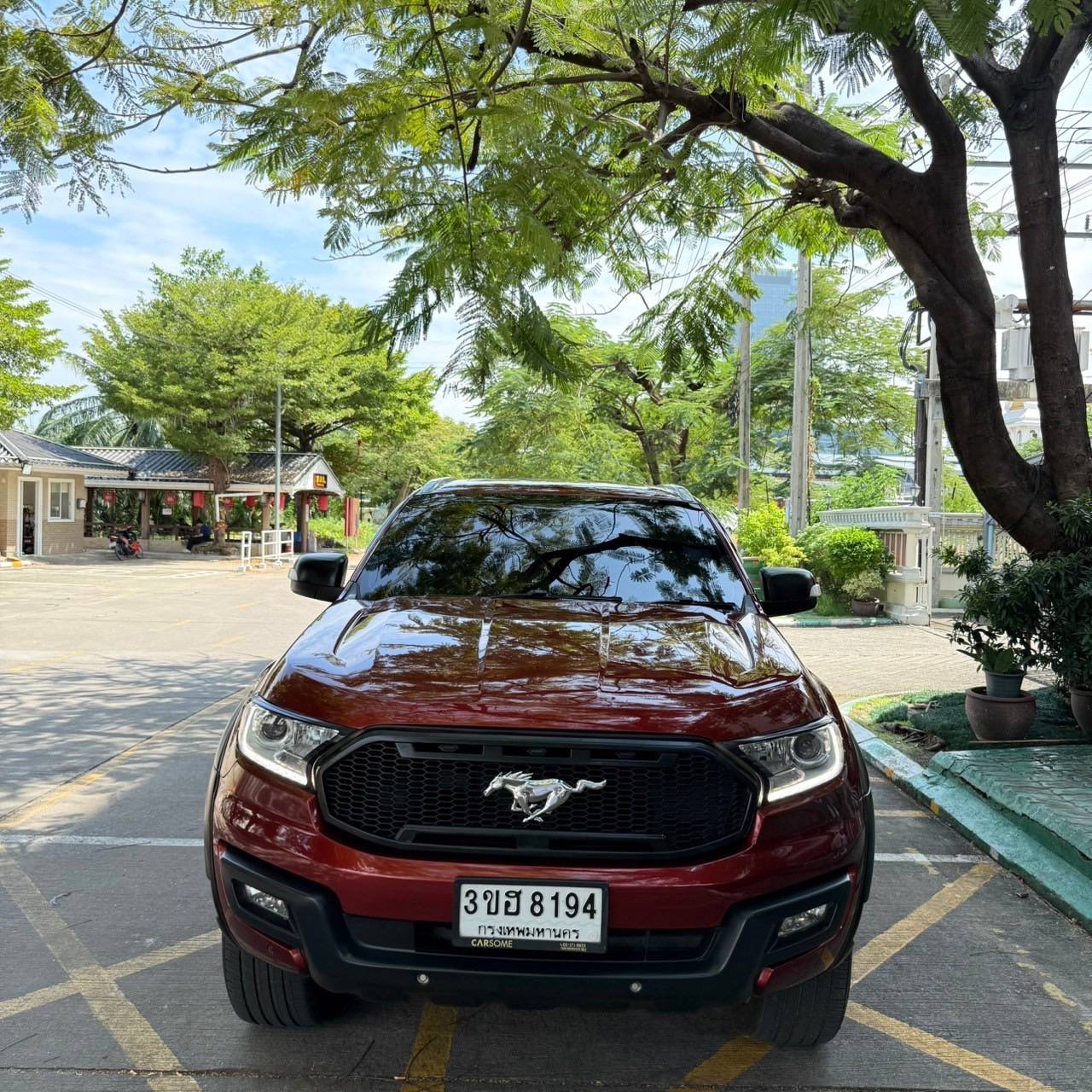 IMAGE 2026-02-14 21:42:33.jpg