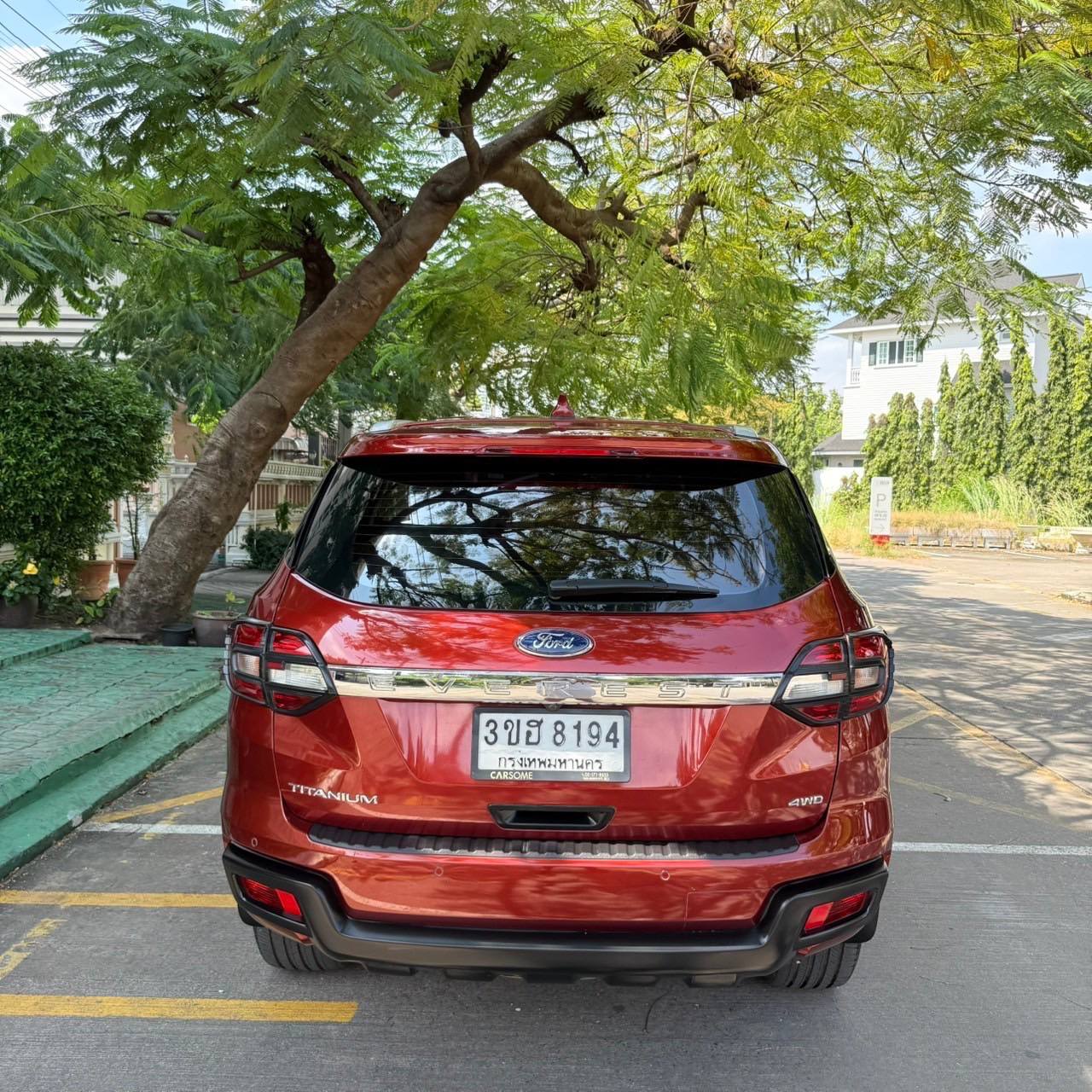 IMAGE 2026-02-14 21:42:36.jpg