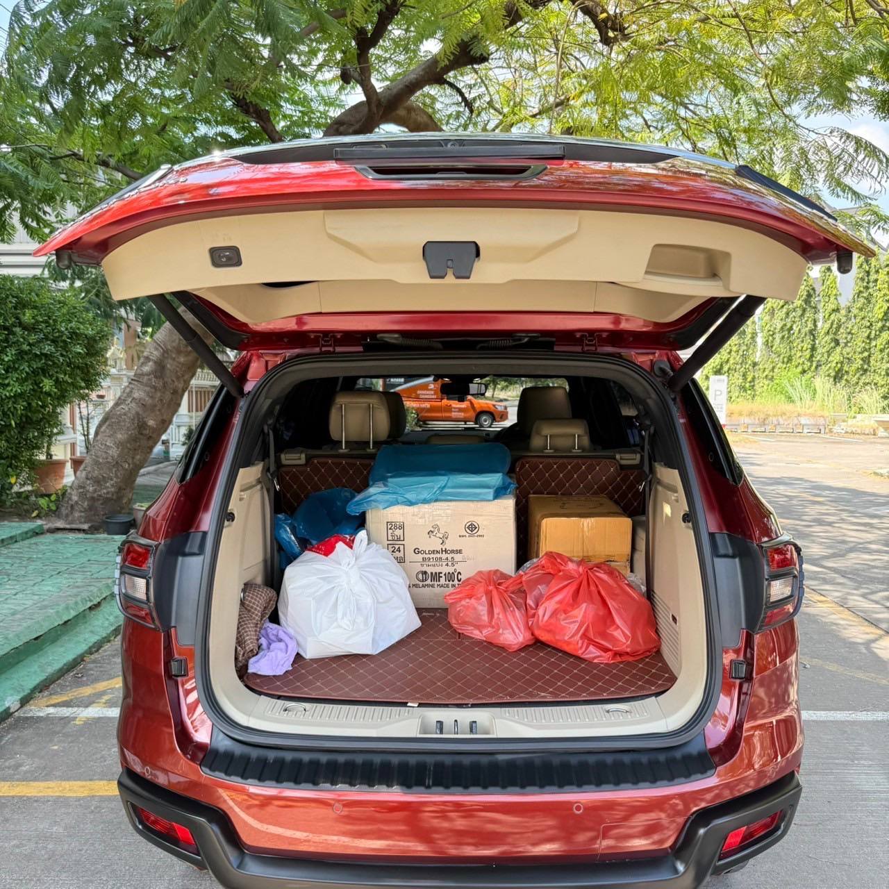 IMAGE 2026-02-14 21:42:44.jpg