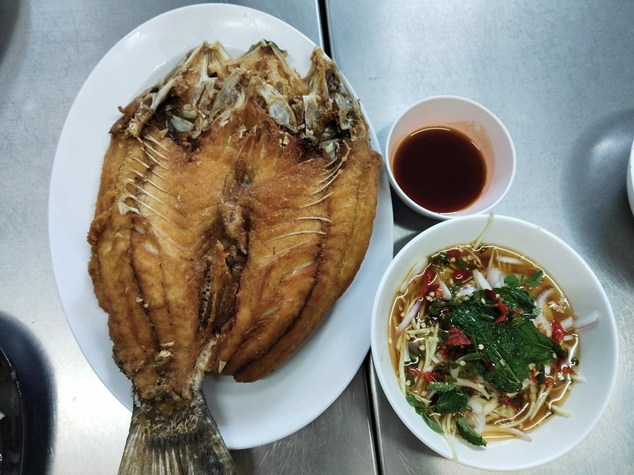 IMAGE 2026-02-16 18:37:44.jpg