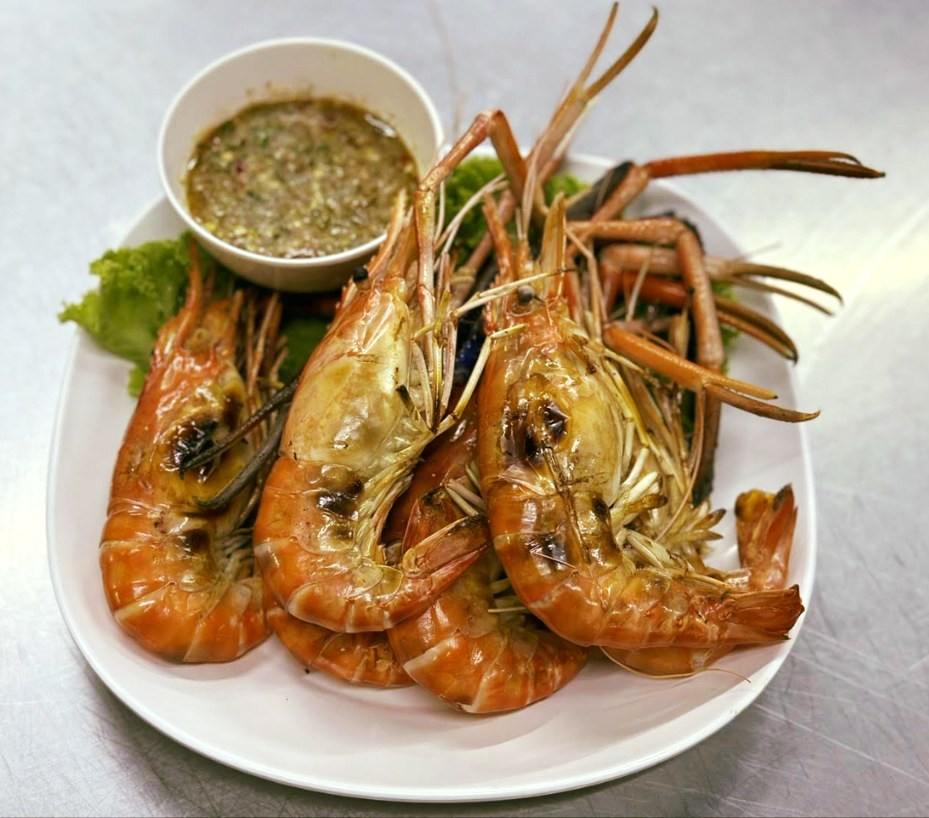 IMAGE 2026-02-16 18:37:47.jpg