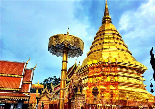 IMAGE 2026-02-19 20:21:06.jpg