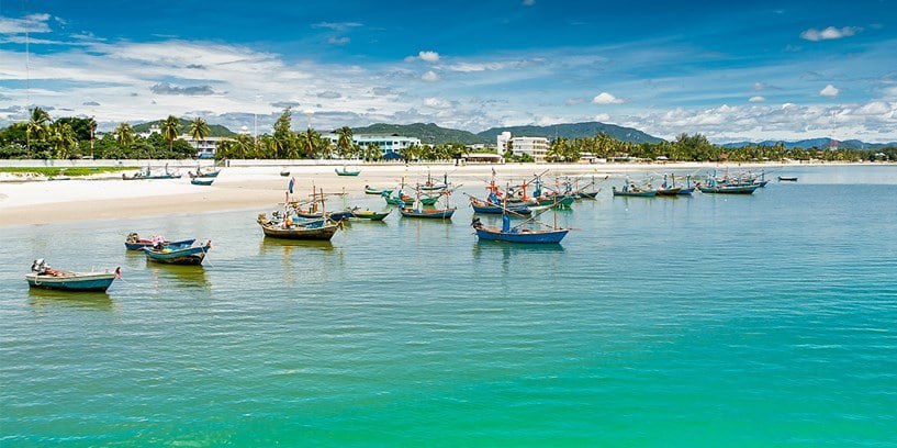 IMAGE 2026-02-22 20:32:03.jpg