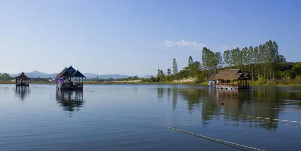 IMAGE 2026-02-22 20:36:23.jpg