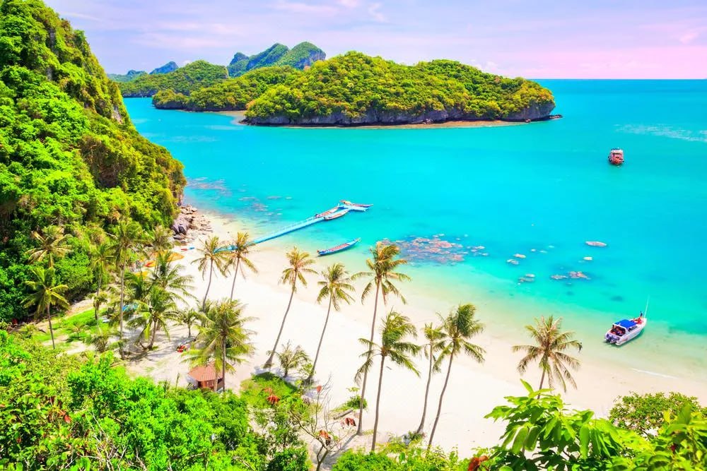 IMAGE 2026-02-26 14:58:07.jpg