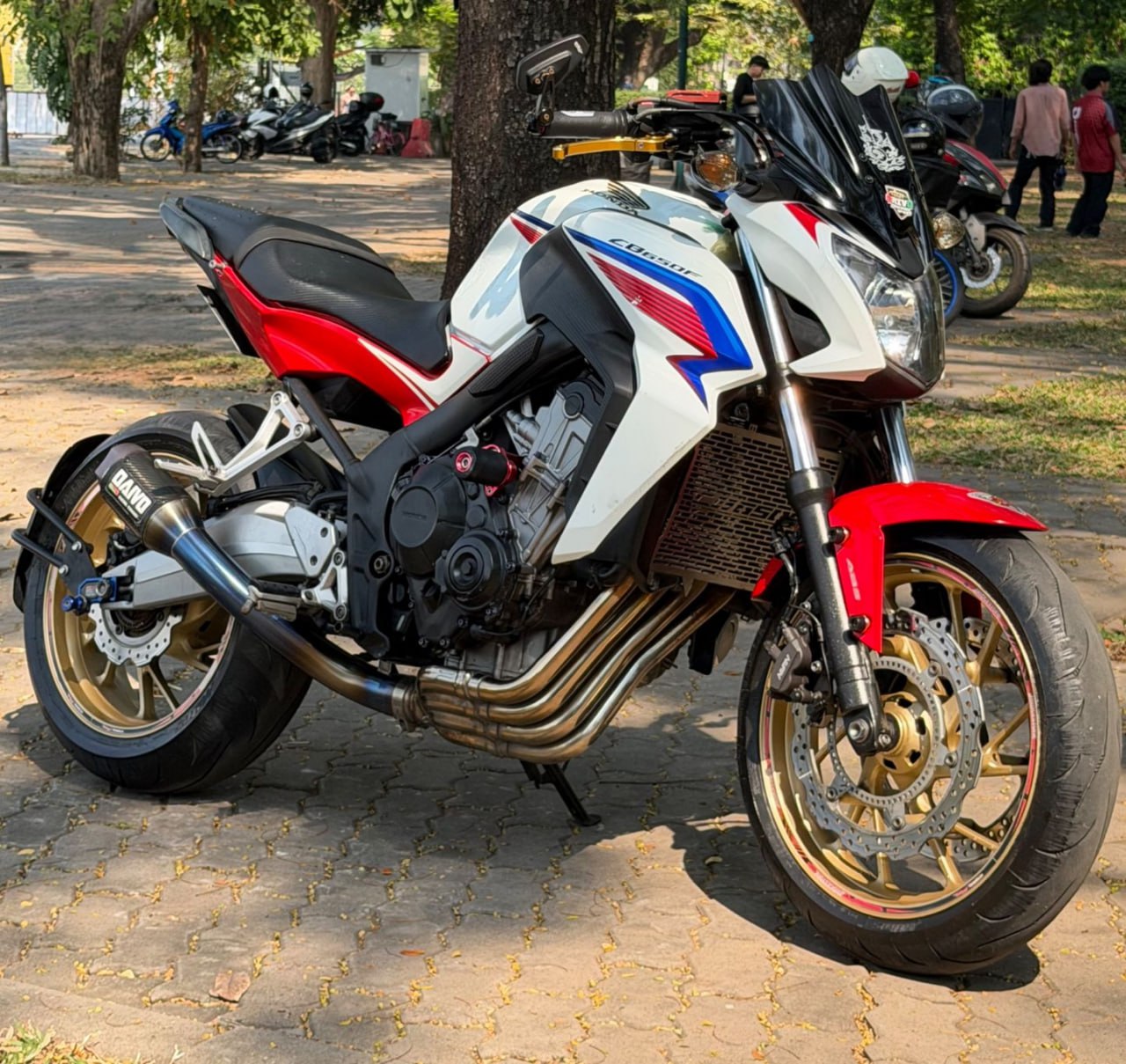 IMAGE 2026-02-27 20:53:12.jpg