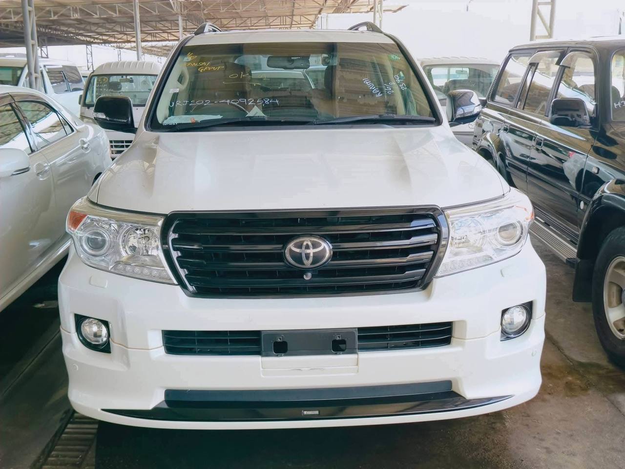 IMAGE 2026-02-28 18:41:07.jpg