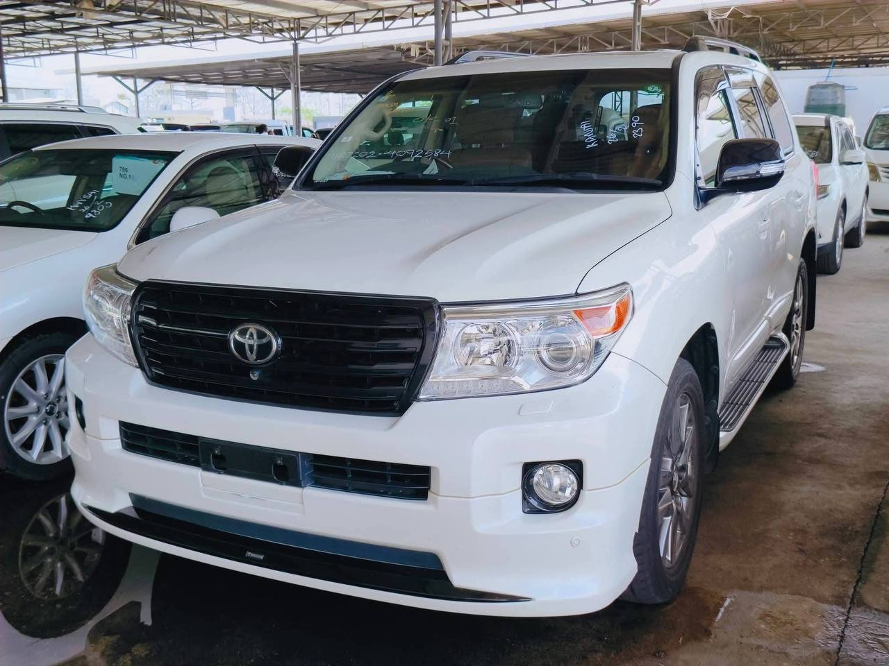 IMAGE 2026-02-28 18:41:10.jpg