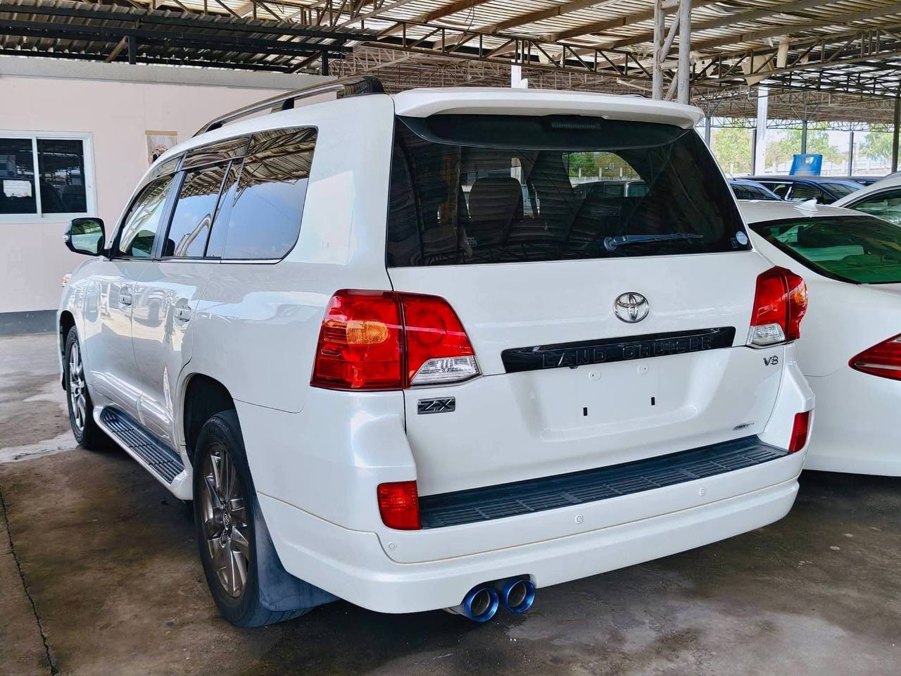 IMAGE 2026-02-28 18:41:12.jpg