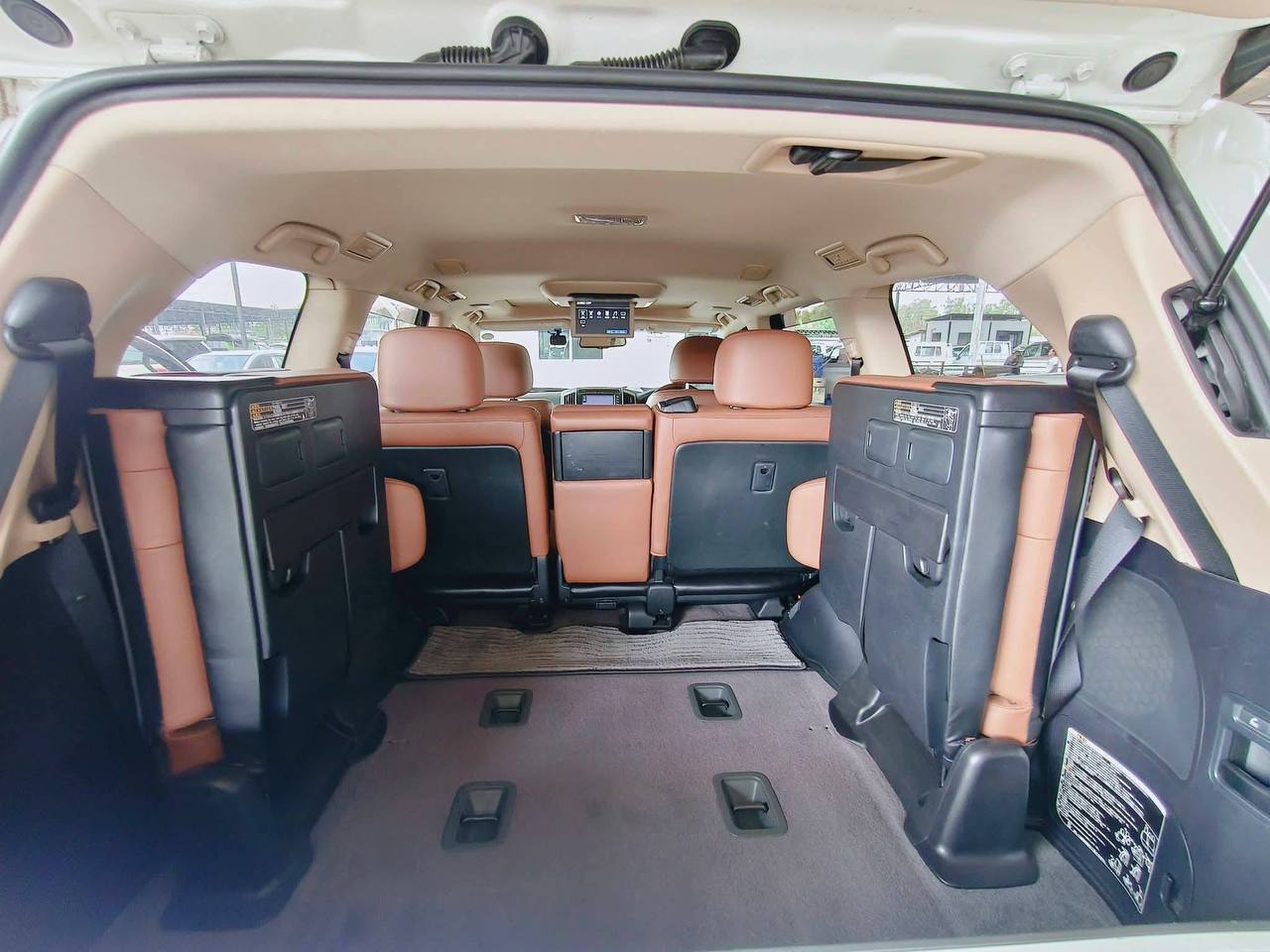 IMAGE 2026-02-28 18:41:22.jpg