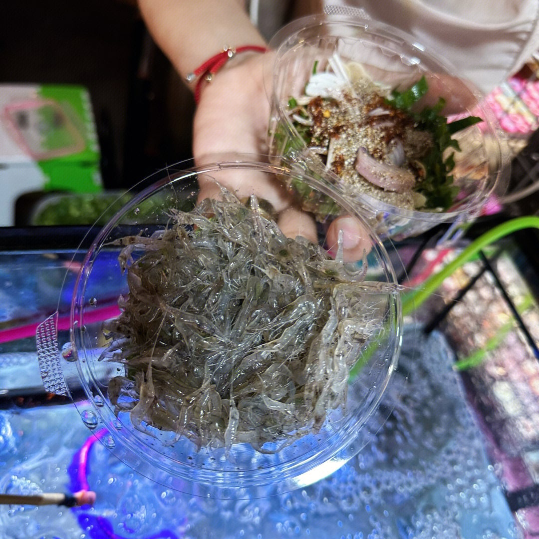 IMAGE 2026-03-02 16:59:39.jpg