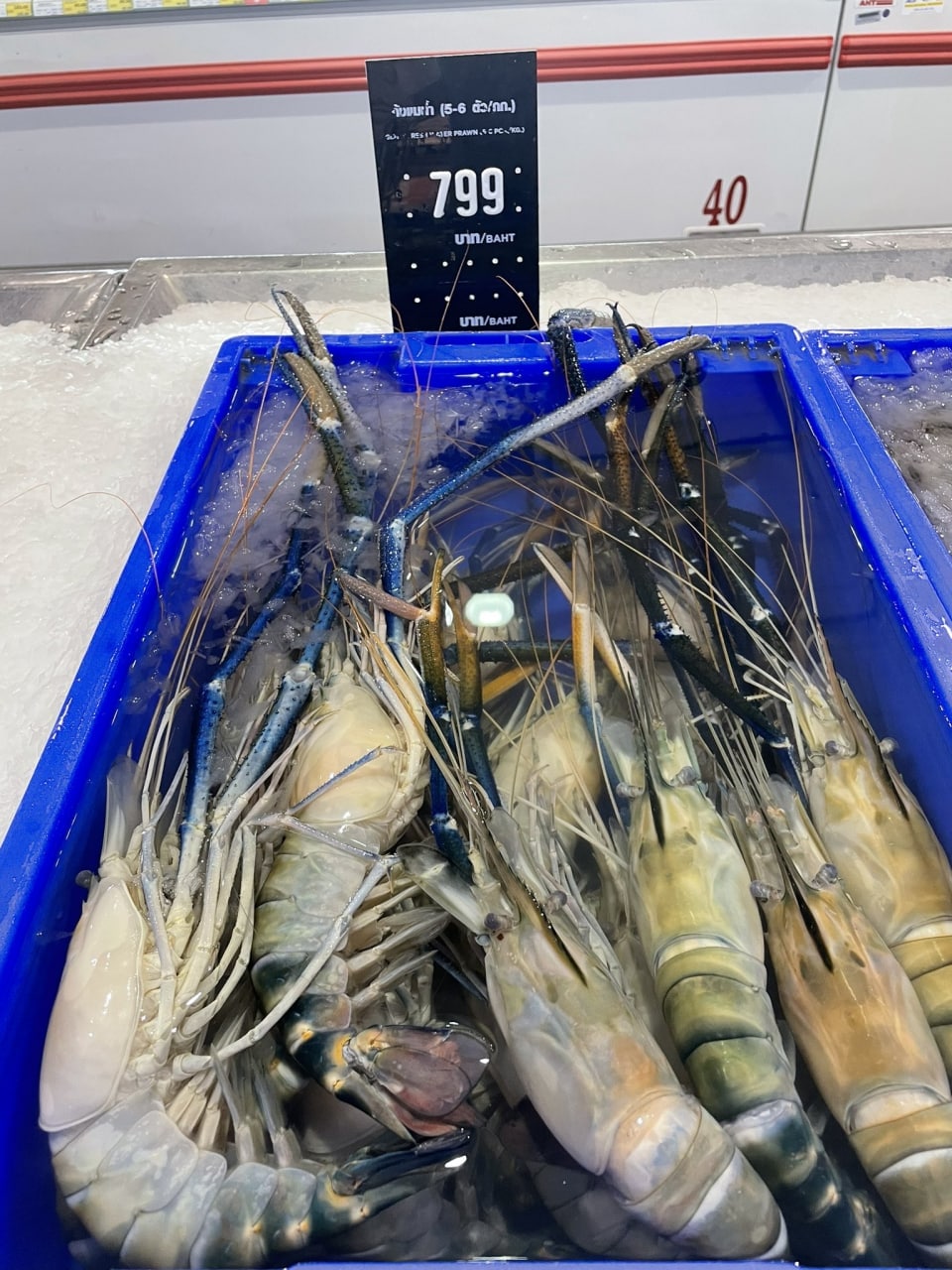 IMAGE 2026-03-02 17:02:29.jpg