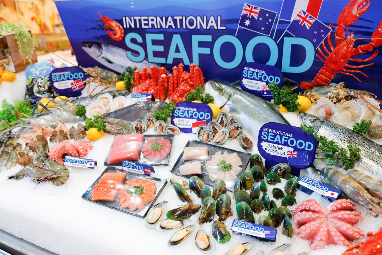 IMAGE 2026-03-02 17:02:33.jpg