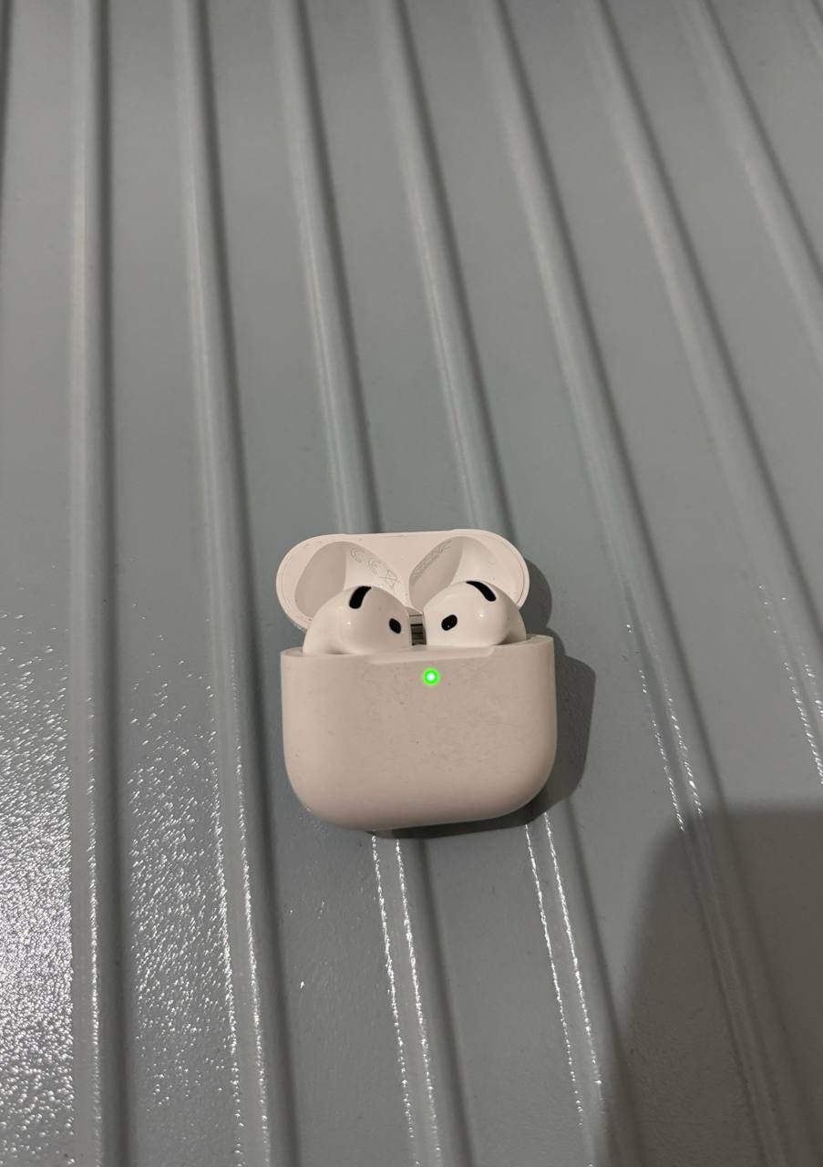 IMAGE 2026-03-02 17:13:38.jpg