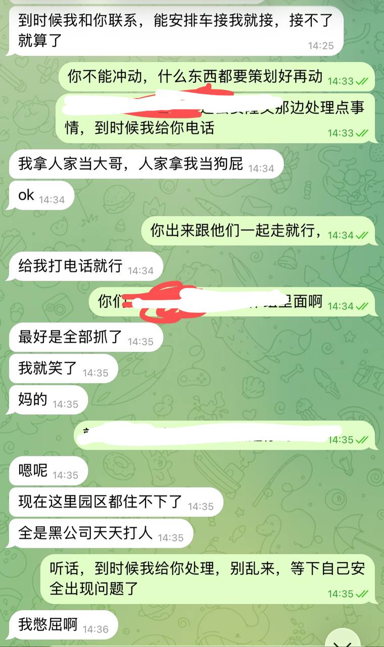 IMAGE 2026-03-03 13:04:16.jpg