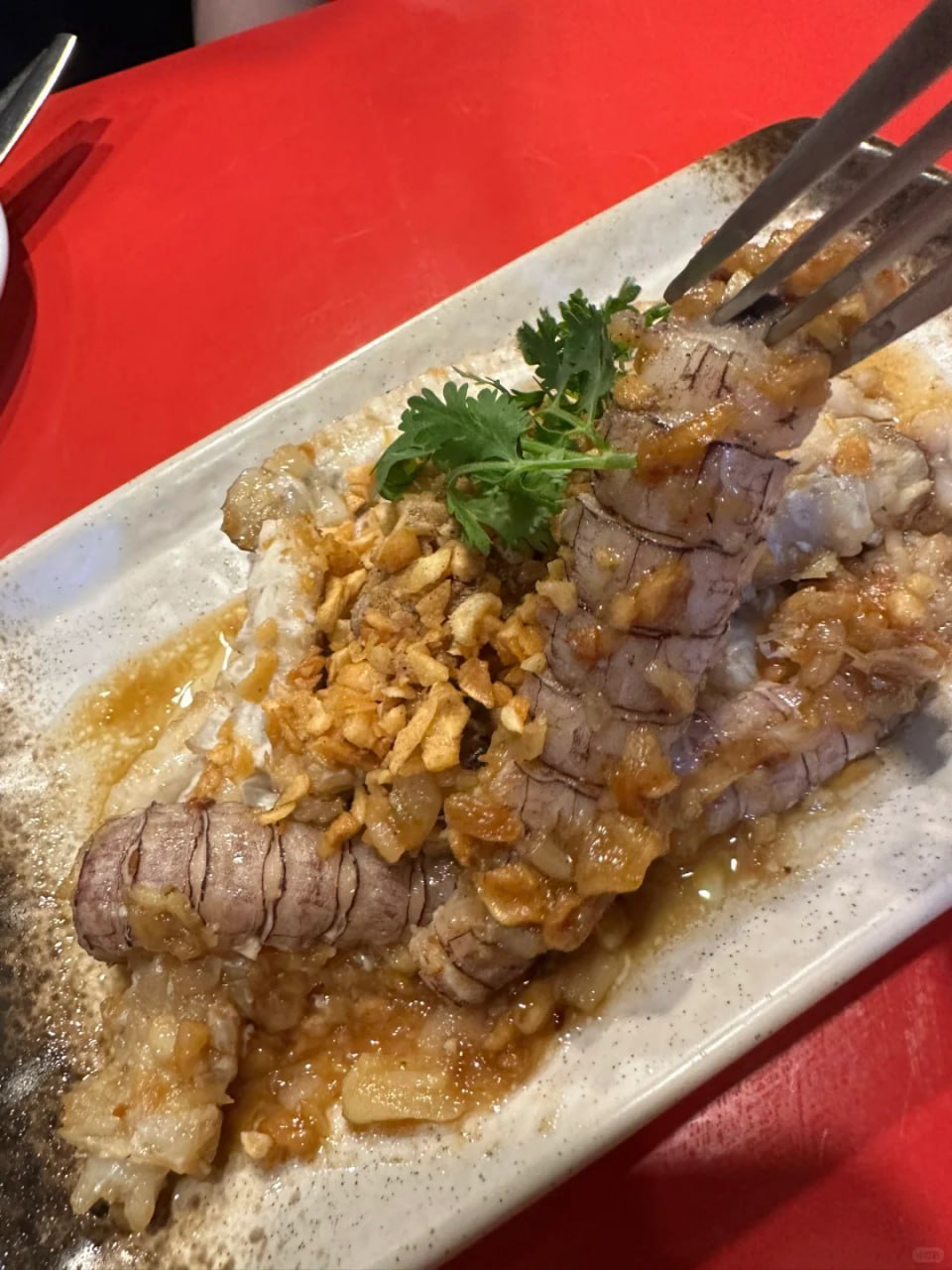 IMAGE 2026-03-03 13:07:12.jpg