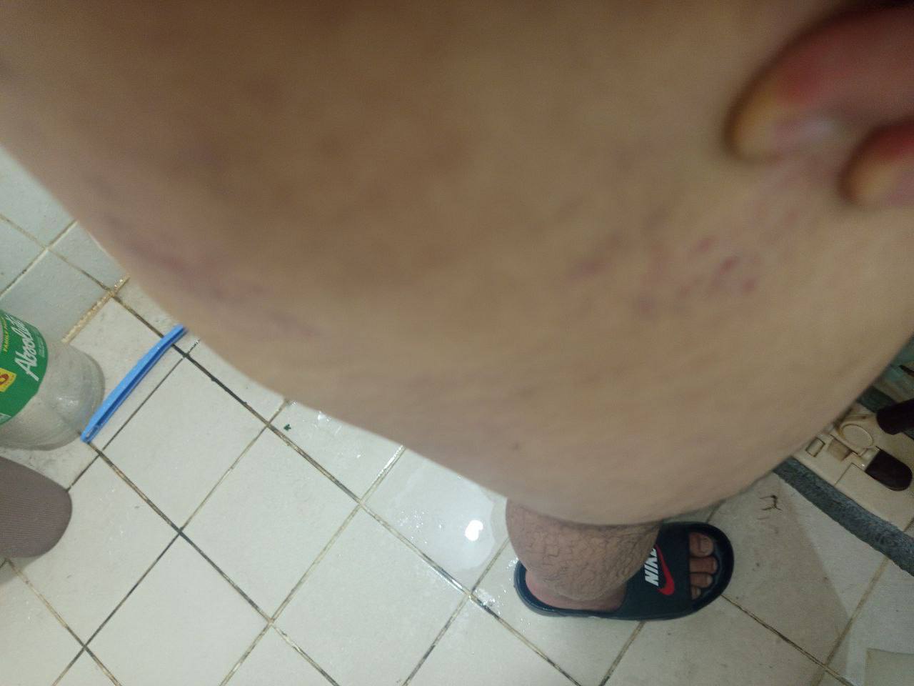 IMAGE 2026-03-03 16:09:30.jpg