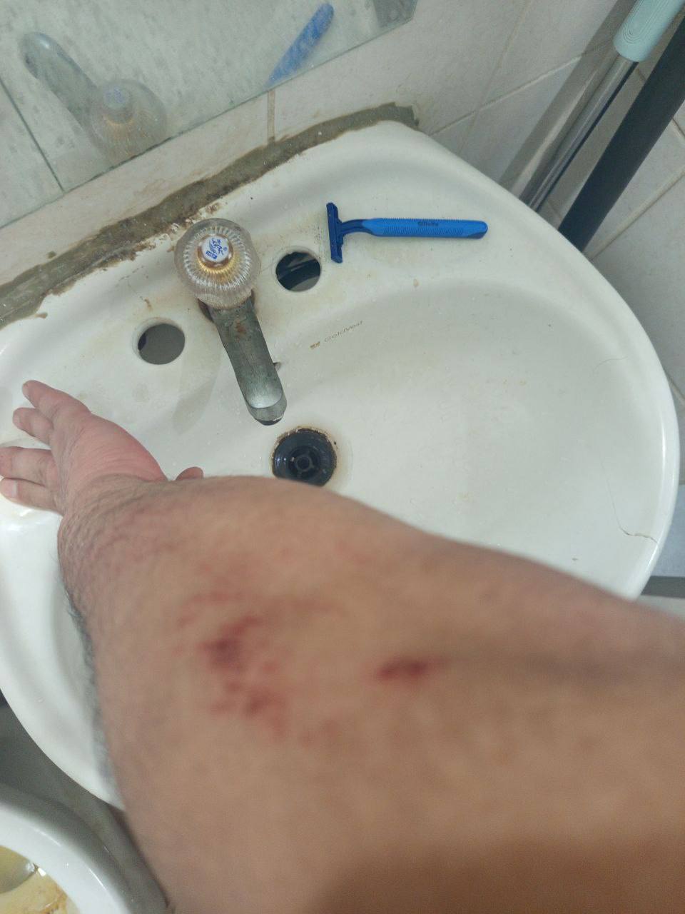 IMAGE 2026-03-03 16:09:32.jpg