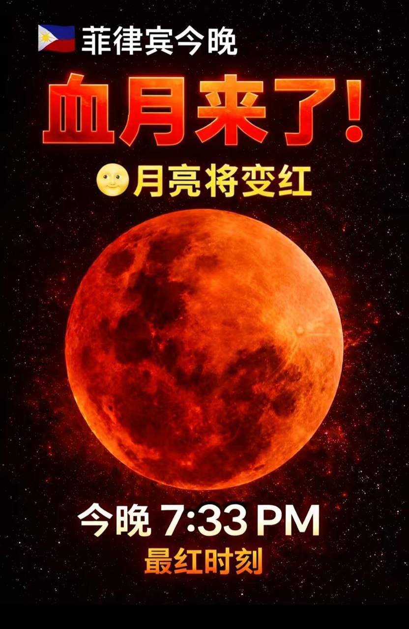 IMAGE 2026-03-04 13:56:41.jpg