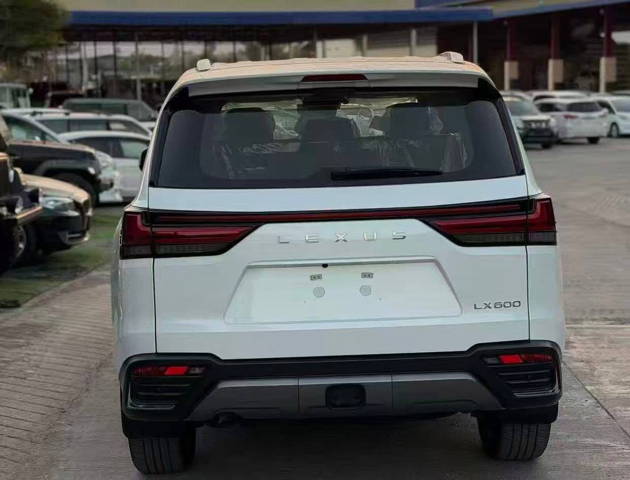 IMAGE 2026-03-05 12:09:20.jpg