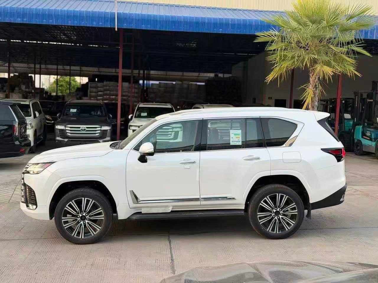 IMAGE 2026-03-05 12:09:24.jpg