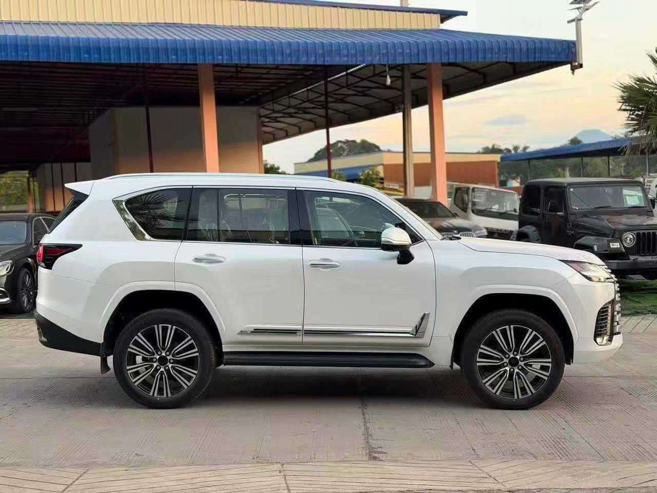 IMAGE 2026-03-05 12:09:25.jpg