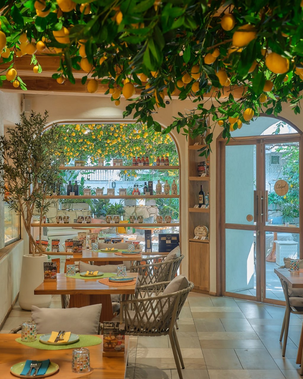 IMAGE 2026-03-05 13:07:23.jpg