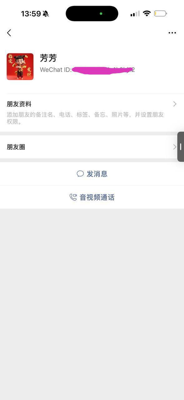 IMAGE 2026-03-06 13:36:36.jpg