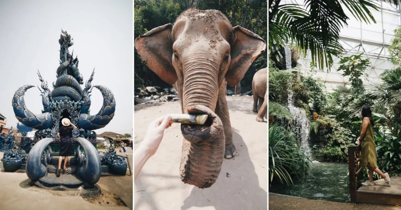 IMAGE 2026-03-07 15:11:46.jpg